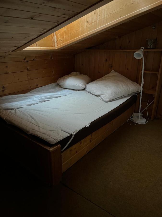 Lejlighed Dachgeschoss-apartment In Skilift-naehe Zell am See