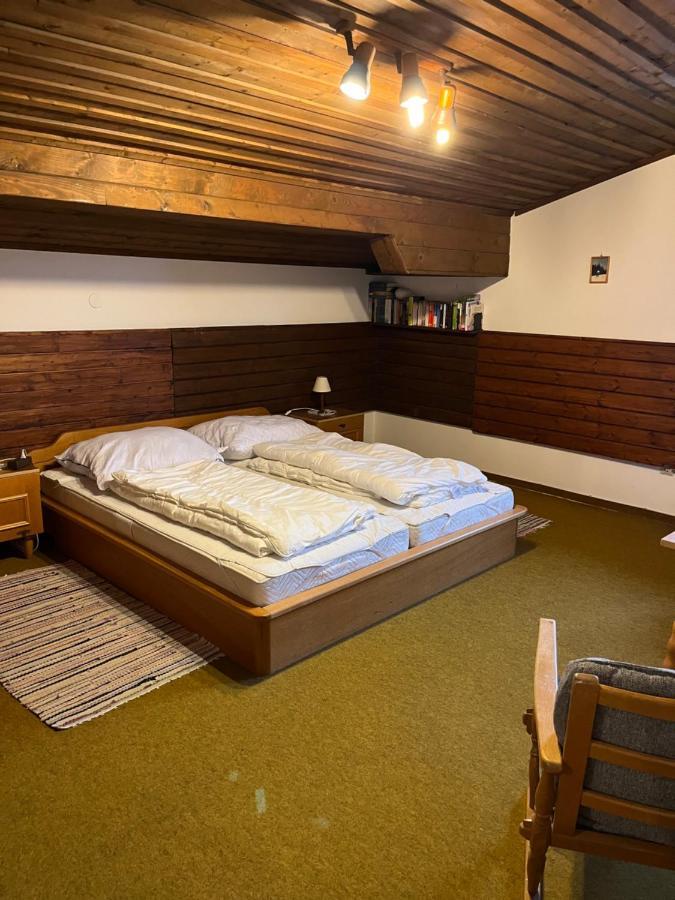 Dachgeschoss-apartment In Skilift-naehe *